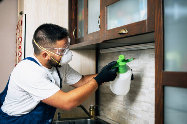 Best Wildlife Control Services  in Slippery Rock University, PA
