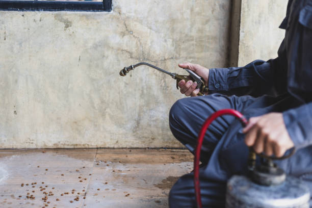 Best Pest Removal Services  in Slippery Rock University, PA